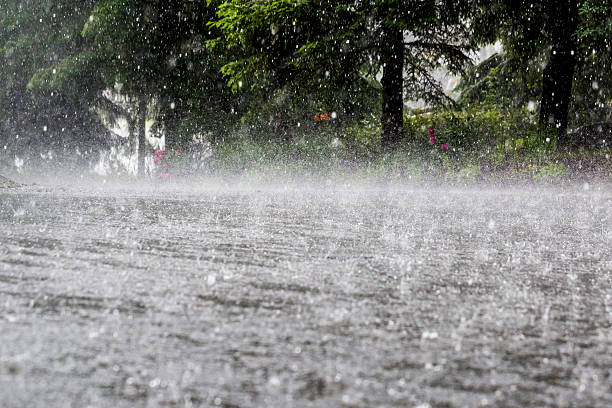 Météo : l'Anacim annonce des pluies modérées à localement fortes sur la quasi-totalité de son territoire