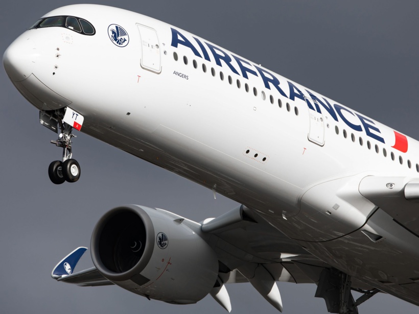 Au Sahel, des compagnies aériennes remplissent le vide laissé par Air France