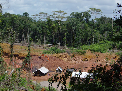 Environnement : « l’Afrique perd 4,4 millions d’hectares à cause de l’exploitation forestière » (Thialao Sarr)