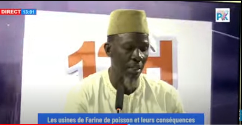 Usines de farine de poissons : Mamadou Sarr dénonce les impacts environnementaux et sanitaires sur les populations