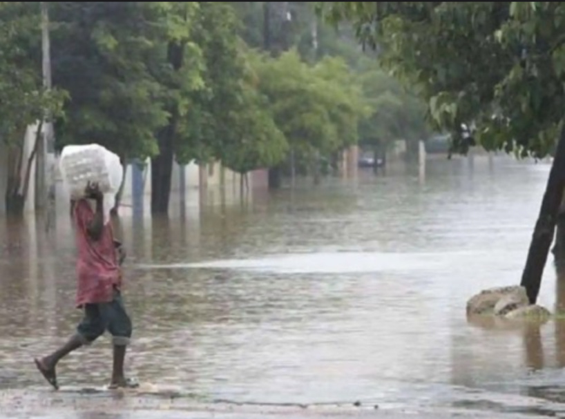 Météo : des pluies attendues dans plusieurs régions du Sénégal du 10 au 13 octobre, annonce l'ANACIM