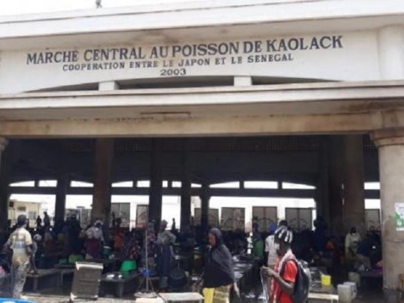 Marché central aux poissons de Kaolack : les commerçants dénoncent leurs conditions de travail et menacent ...