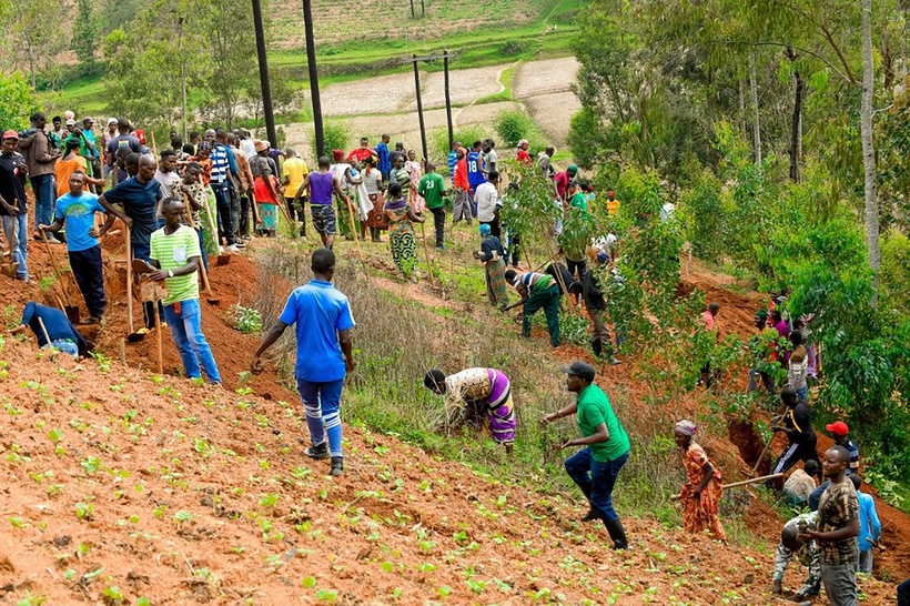 En Afrique centrale, les petits fermiers adoptent l’agroécologie pour préserver la biodiversité