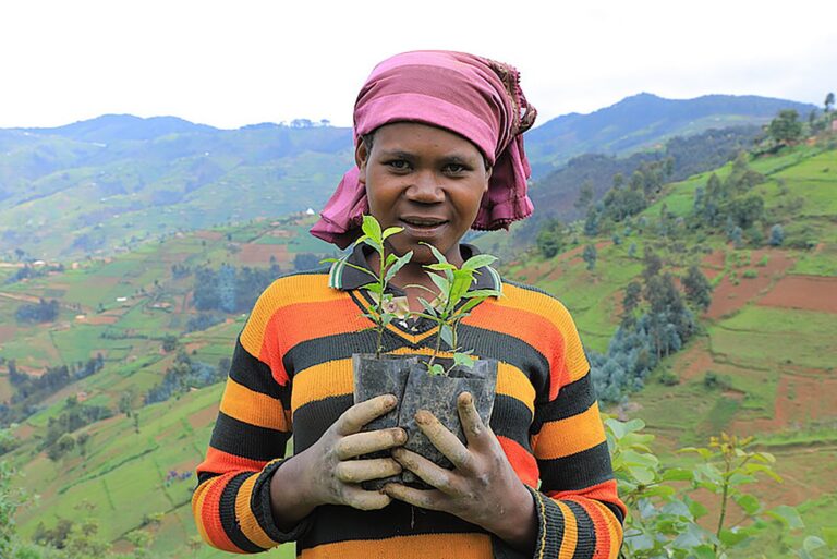 En Afrique centrale, les petits fermiers adoptent l’agroécologie pour préserver la biodiversité