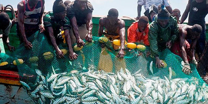 Fin des accords de pêche UE/Sénégal : l'Union européenne perd la bataille