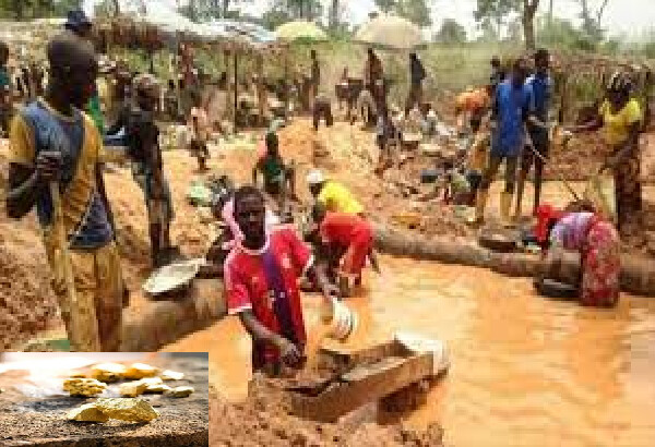 Tambacounda: 32 orpailleurs appréhendés par les éléments du Parc national de Niokolokoba