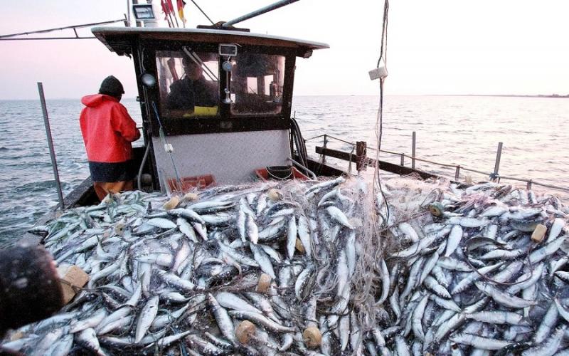 Accord de pêche entre le Sénégal et l’UE : Dr Fatou Diouf, face à la presse jeudi