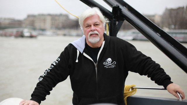 Le militant écologiste Paul Watson a été libéré après cinq mois de détention au Groenland