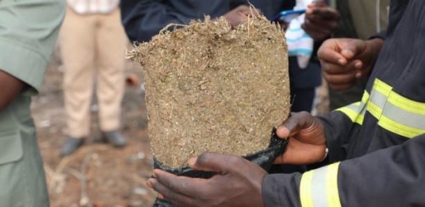 Trafic de drogue dure aux Maristes : le Nigérian Raymond P. Okoh arrêté par l’OCRTIS