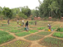 Mali: Teriyabougou, un lieu d'inspiration