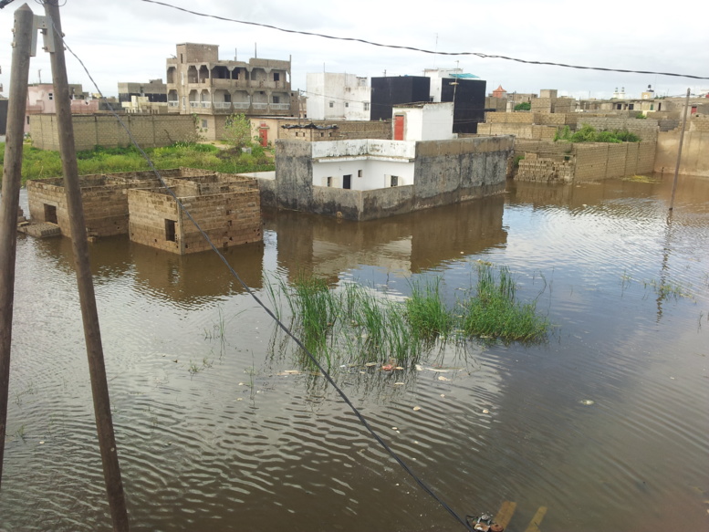 Keur Massar : La Cité Sotrac submergée par les eaux de pluies, appelle à l'aide 