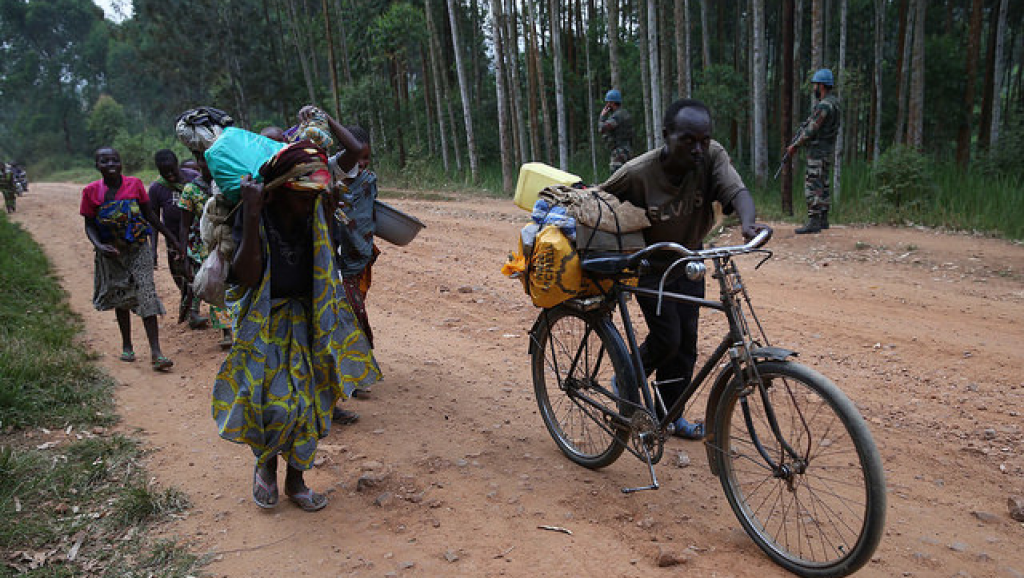 Violences dans le Nord-Kivu en RDC: des politiques s'expriment