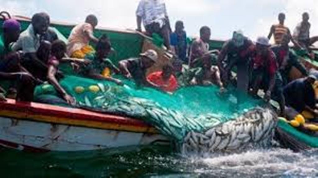 Exploitation du gaz à Saint-Louis et Kayar : le poisson est en danger, selon les poêcheurs