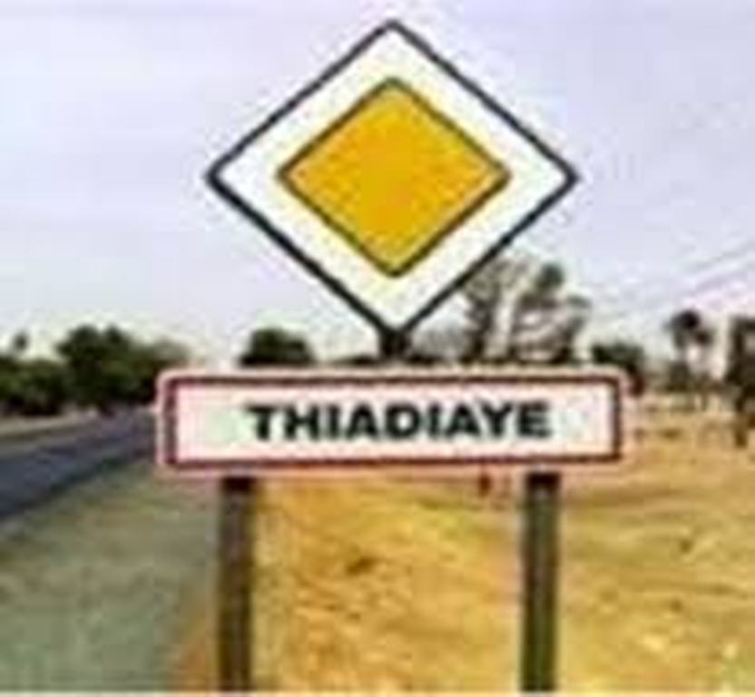 Thiadiaye : le collectif des agriculteurs s’insurge contre leur maire.