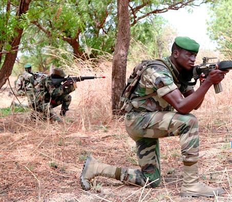 L'Armée ratisse la forêt casamançaise après la disparition de 4 exploitants forestiers