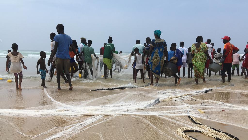 ​Mbour : les pêcheurs rejettent l’arrêté du ministre Omar Gueye