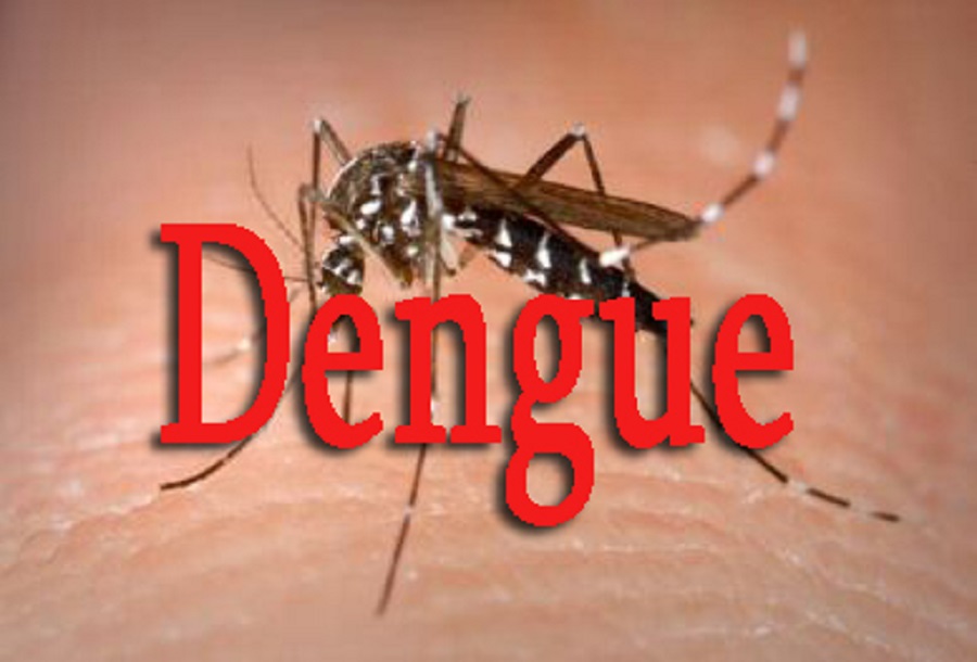 Propagation de la Dengue : le nombre de cas passe à 29, deux autres communes de Fatick touchées