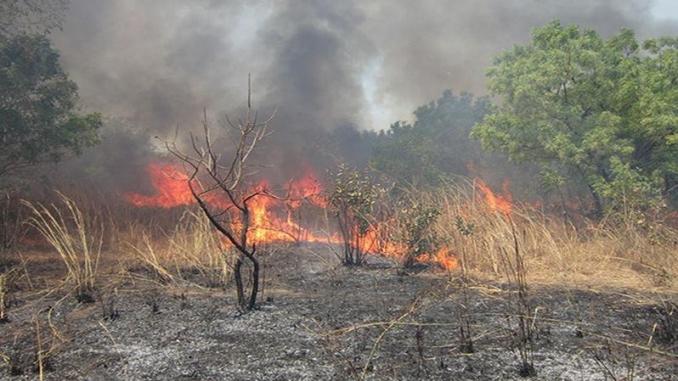 ​Feu de brousse à Tambading: les population lancent un cri de désarroi