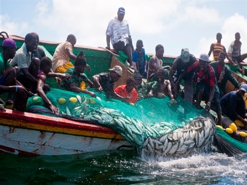 ​Pénurie de carburant : les pêcheurs artisanaux crient leur colère