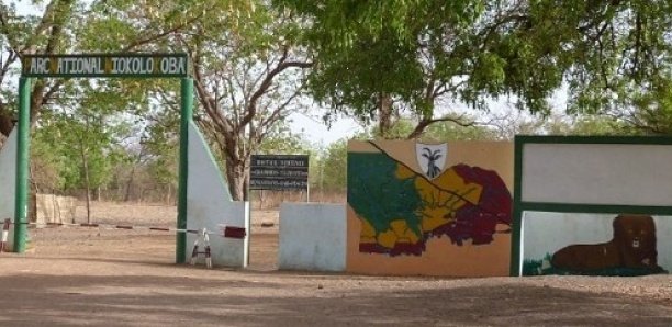 Trafic d'or à Niokolo koba: le Colonel des Eaux et forêts condamné à une peine de deux ans de prison