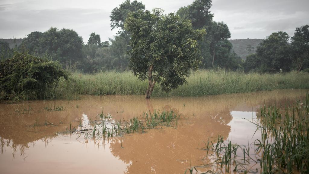 RDC: la province du Sud-Ubangi sous les eaux