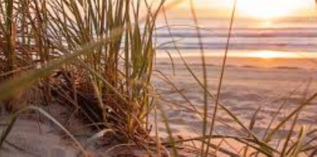 Dragage de leur sable marin pour remblayer la plage de Saly: les pêcheurs de Pointe Sarène disent niet 