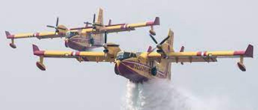 La France envoie deux Canadair pour aider l'Algérie à lutter contre les flammes