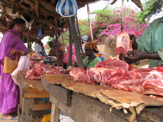 Tamkharite: attention à la viande de charogne