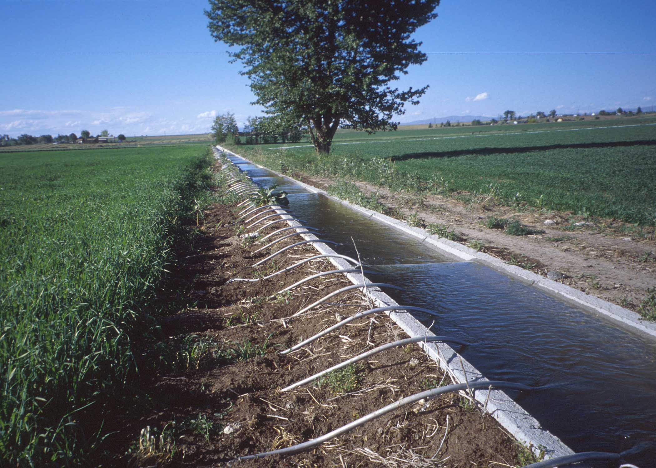 Maîtrise de l’eau pour une production agricole garantie: la nécessité d'un cadre institutionnel