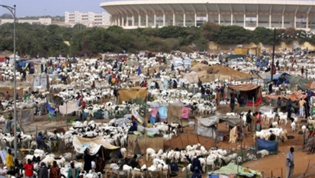 Le marché de Dakar. Photo: AFP