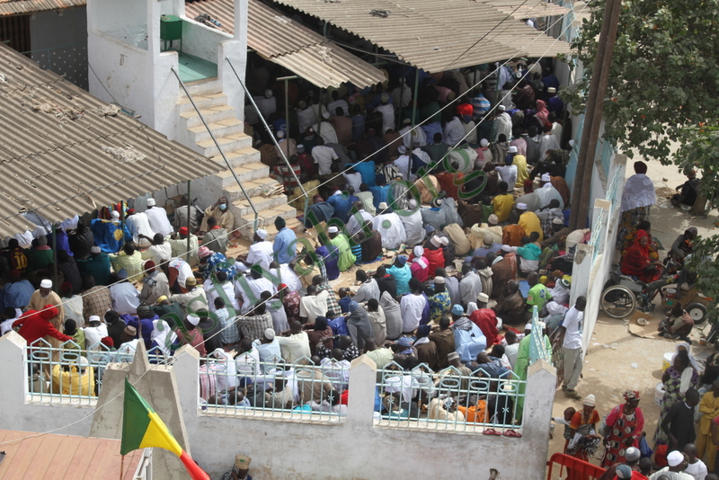 ​Gamou 2015 : Tivaouane plaque tournante de la documentation islamique ?