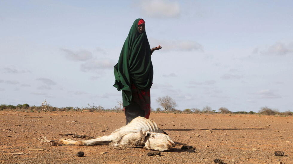 La Somalie préoccupée après la suspension temporaire de l'aide alimentaire de l'Union européenne