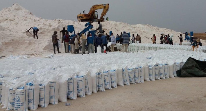 ​« Le Sénégal compte près de 2000 producteurs de sel », selon Pape Amadou Mbodj