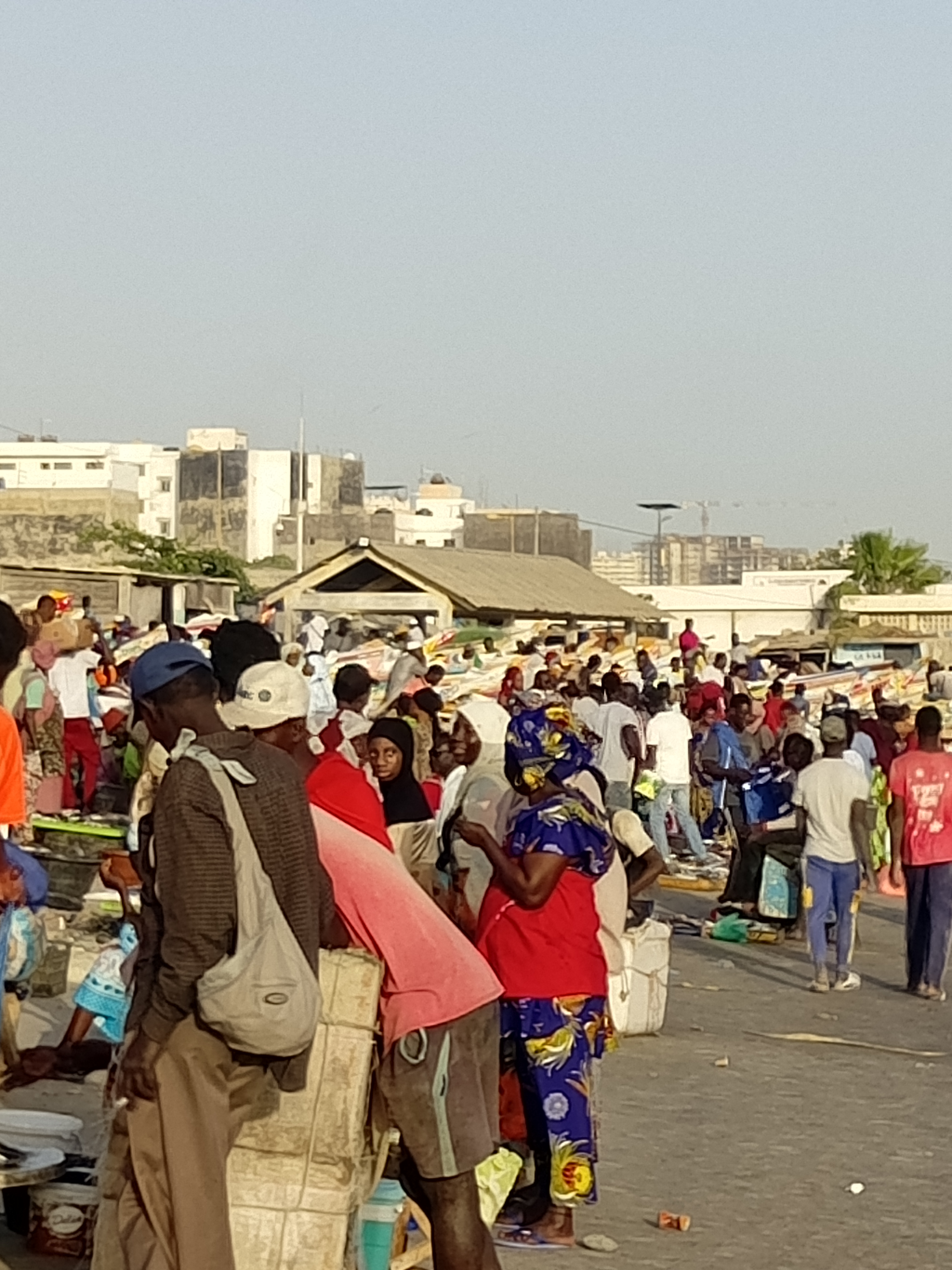 Quai de pêche Soumbédioune : le coeur battant de la pêche traditionnelle à Dakar