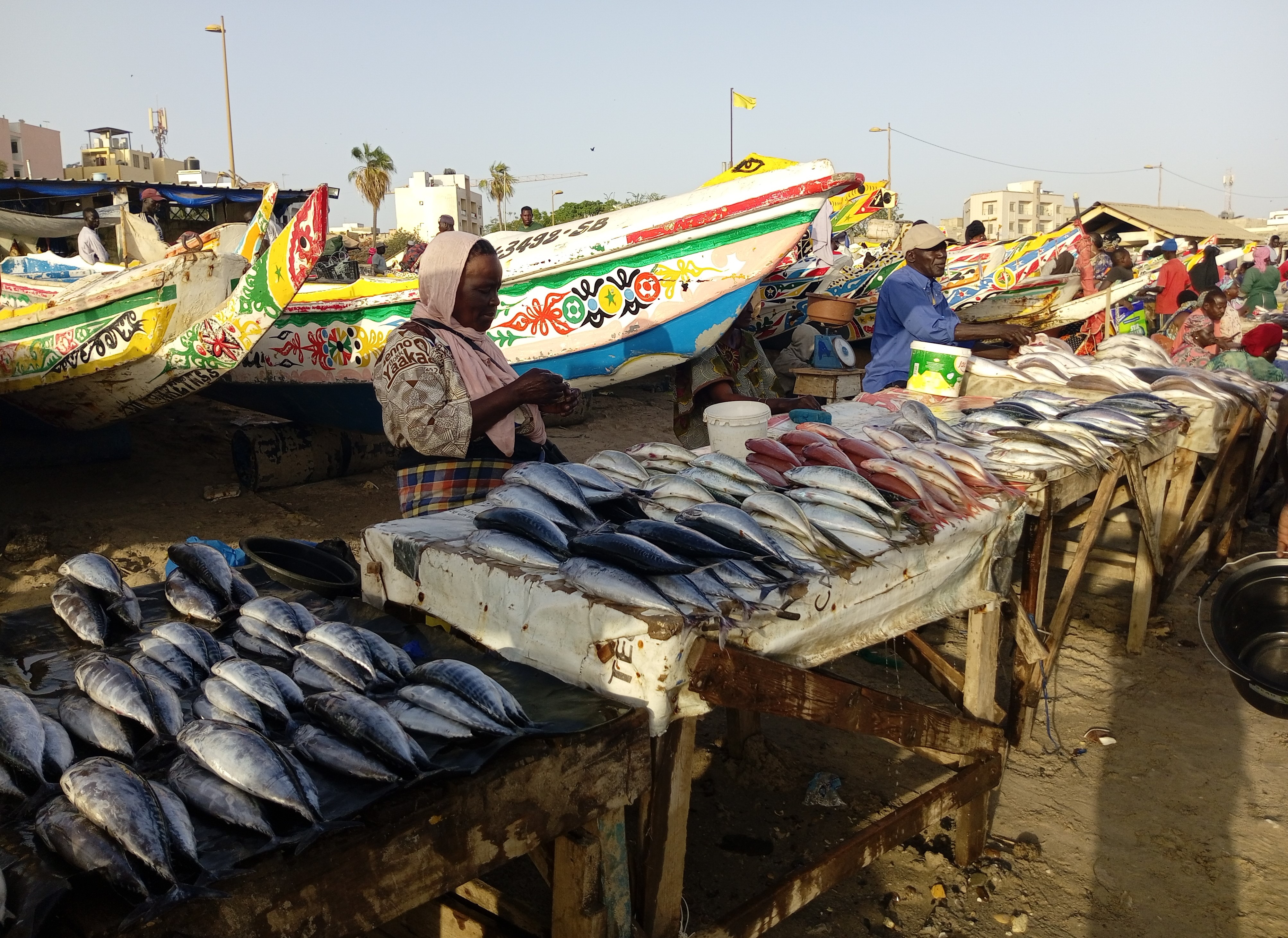 Quai de pêche Soumbédioune : le coeur battant de la pêche traditionnelle à Dakar