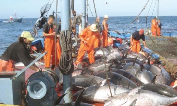 Pratique de pêche illicite dans les eaux sénégalaises : le spectre du carton rouge après le jaune