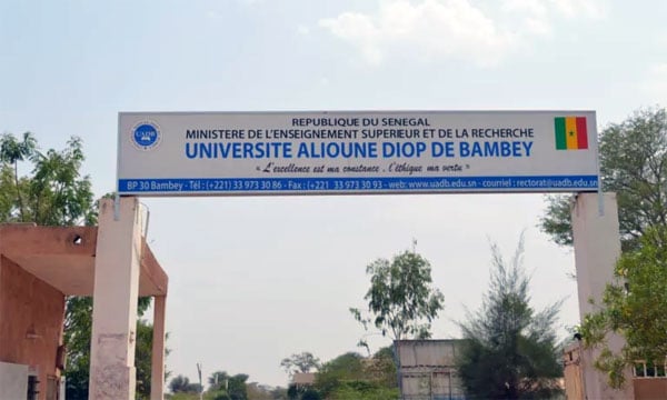 CAMES 2024 :  l’Université Alioune Diop de Bambey brille avec 82, 35% de réussite