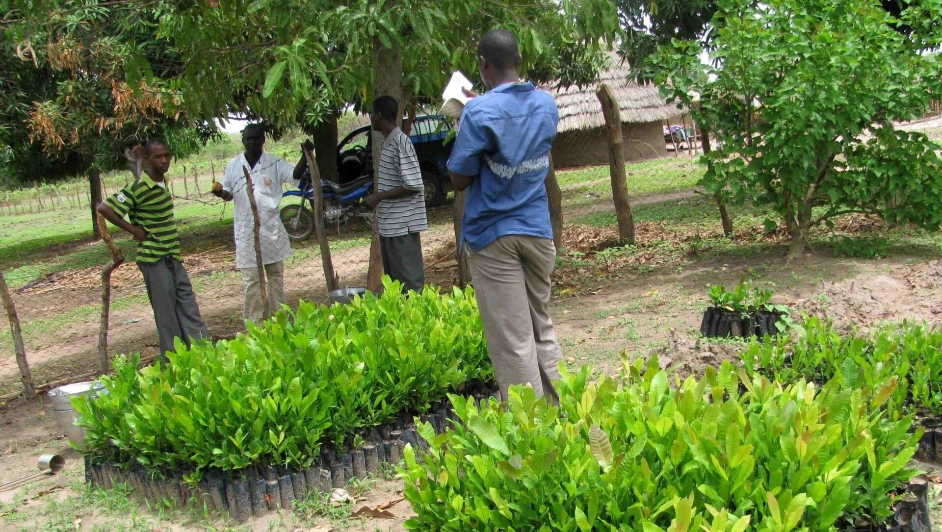 Environnement : un projet visant à réduire les émissions de méthanes bientôt lancé à Dakar