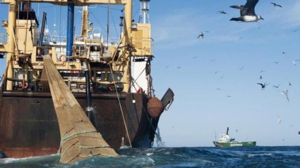 Pêche : « Les seuls bateaux autorisés à pêcher dans les eaux sénégalaises sont ceux de l’UE», (ministre)