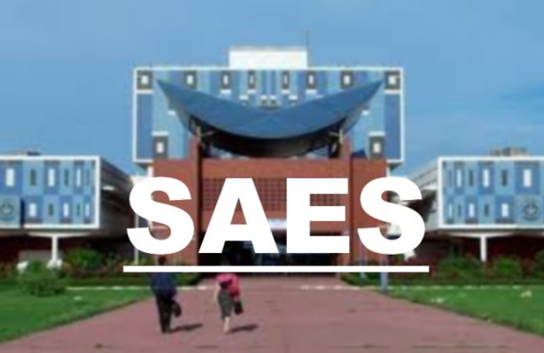 Appel à candidatures pour la désignation des recteurs des universités : le SAES  exige au respect de la loi n° 2015-26 du 28 décembre 2015 