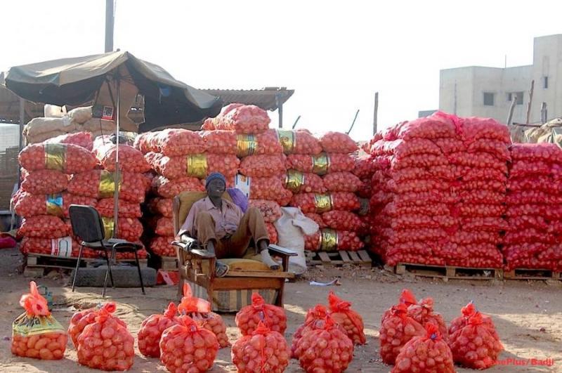 Protection du marché intérieur : 150 conteneurs d'oignon bloqués au Port de Dakar au profit de la production locale