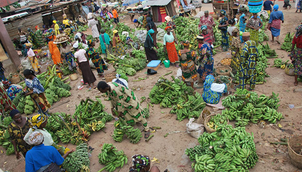 Santé : « les aliments insalubres causent 425 mille décès par an », révèle le Professeur Amadou Diop