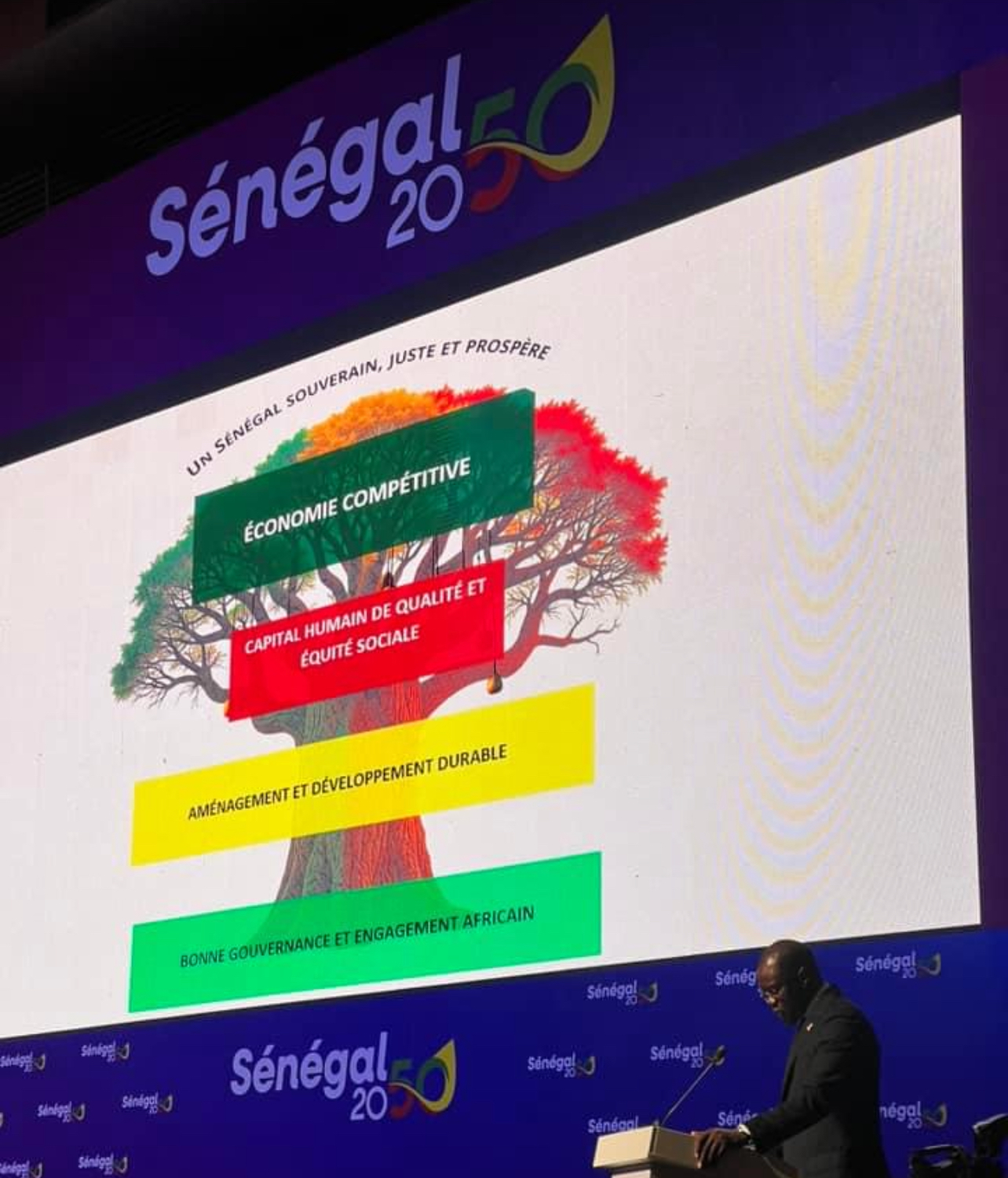 Avis sur le plan Sénégal 2050 (par Magaye Gaye)