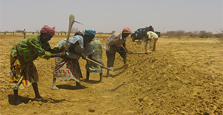 Sécheresse : les femmes produisent 80 % de l’alimentation dans les pays en développement mais possèdent moins de 20 % des terres (ONU)