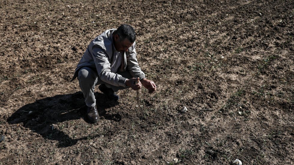 COP29: les défis du secteur agricole face au changement climatique