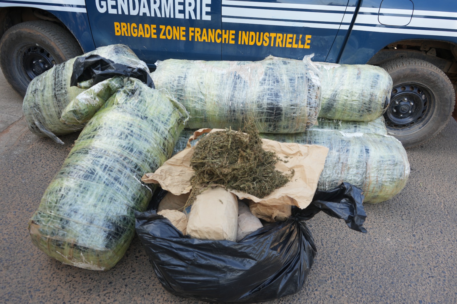 Keur Massar : Saisie de 667 kg de chanvre indien par la gendarmerie