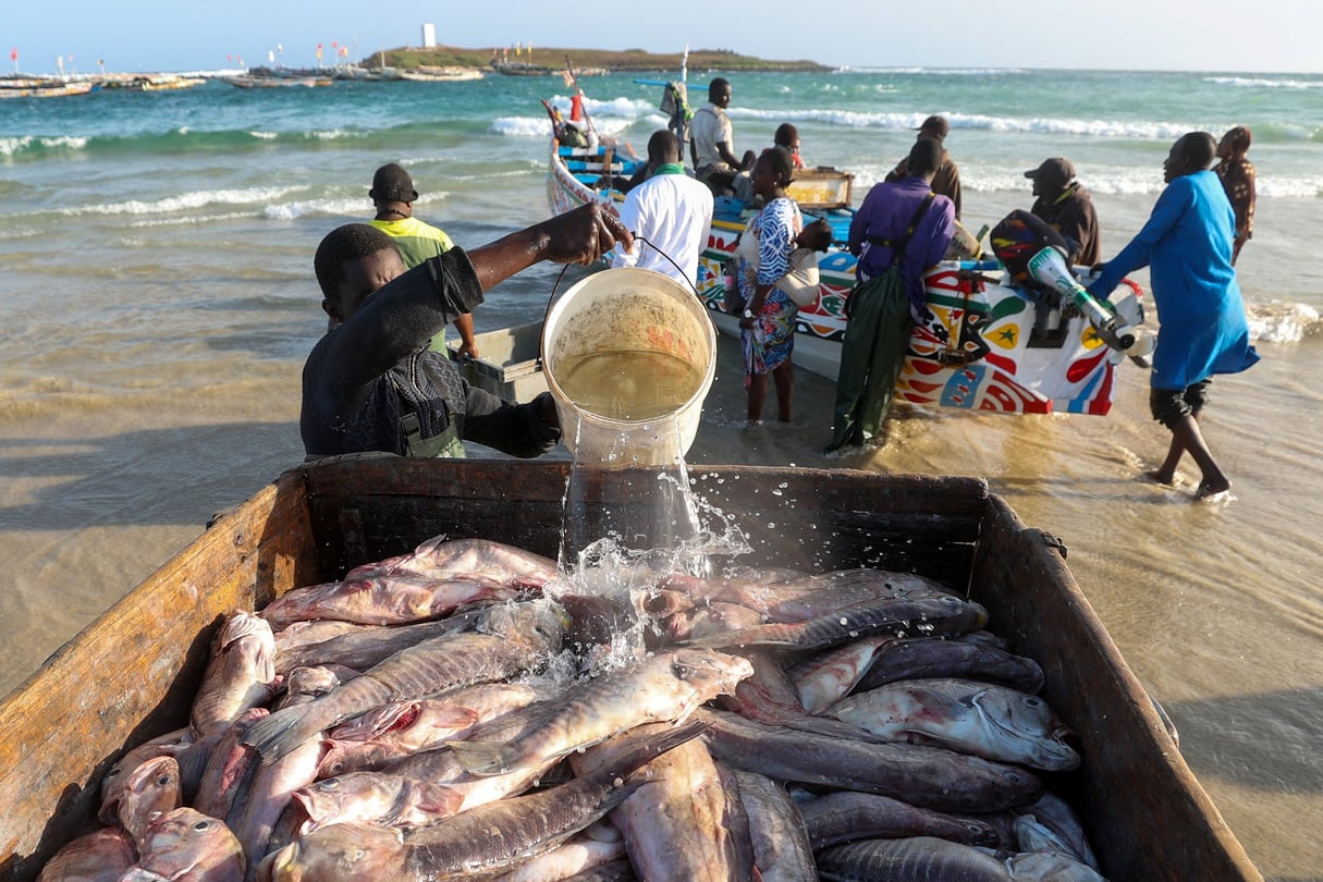 La COJAPIS réclame des assises nationales pour résoudre la crise du secteur de la pêche