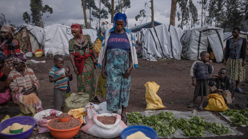 RDC: 25 millions de personnes souffrent d'insécurité alimentaire, la FAO tire la sonnette d'alarme