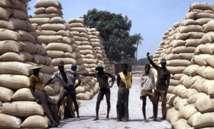 Pékesse : Saisie de 23 tonnes d’arachides vendues en dessous du prix officiel au marché hebdomadaire