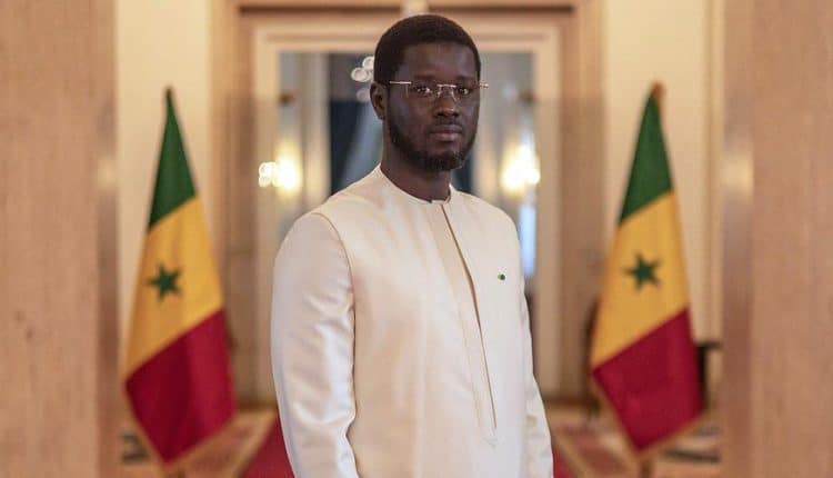 Le Président Diomaye souhaite relancer le projet de réécriture de l’histoire générale du Sénégal